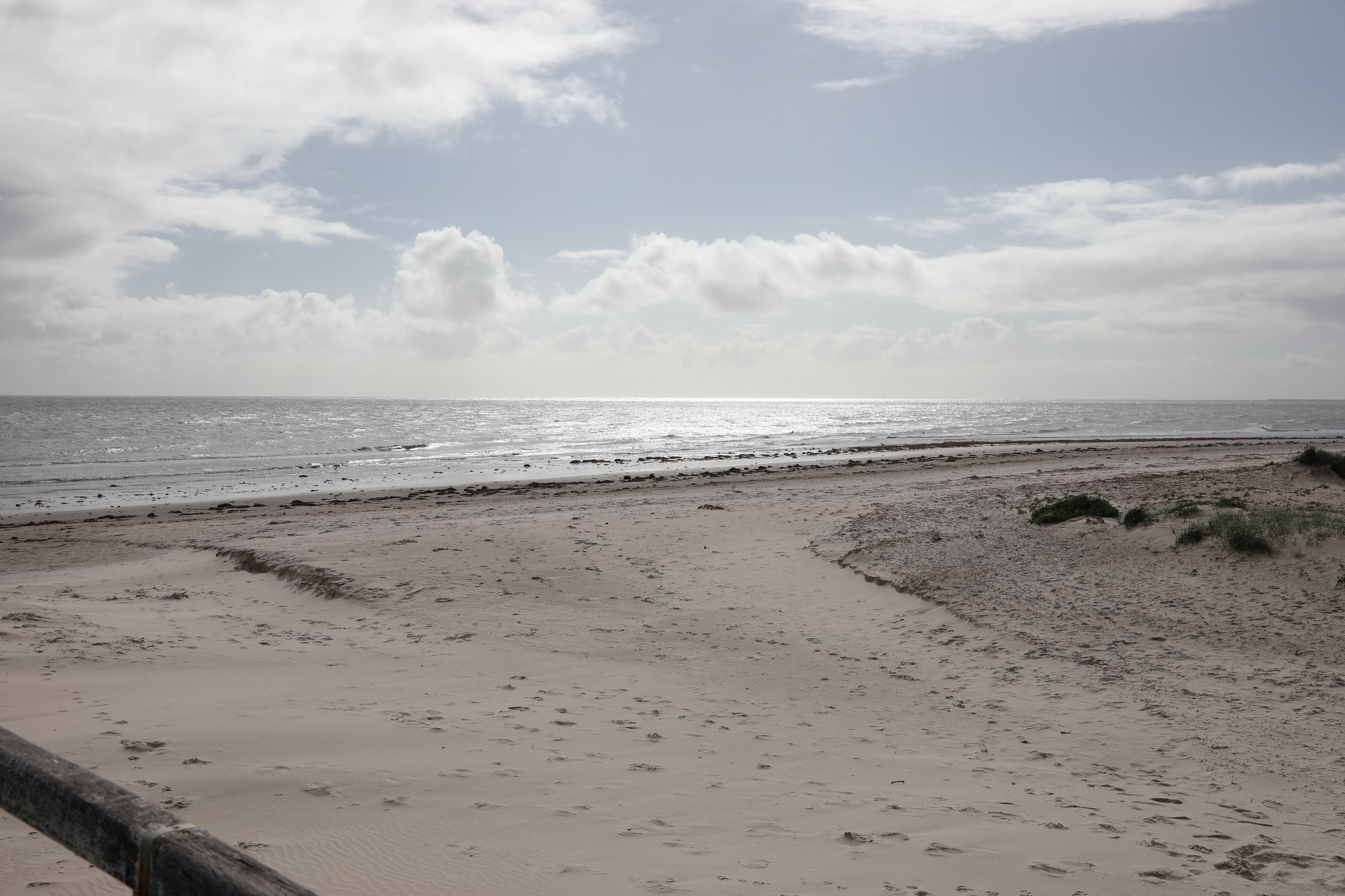 2019 08 11 14 24 24 Canon EOS 5D Mark IV 0003